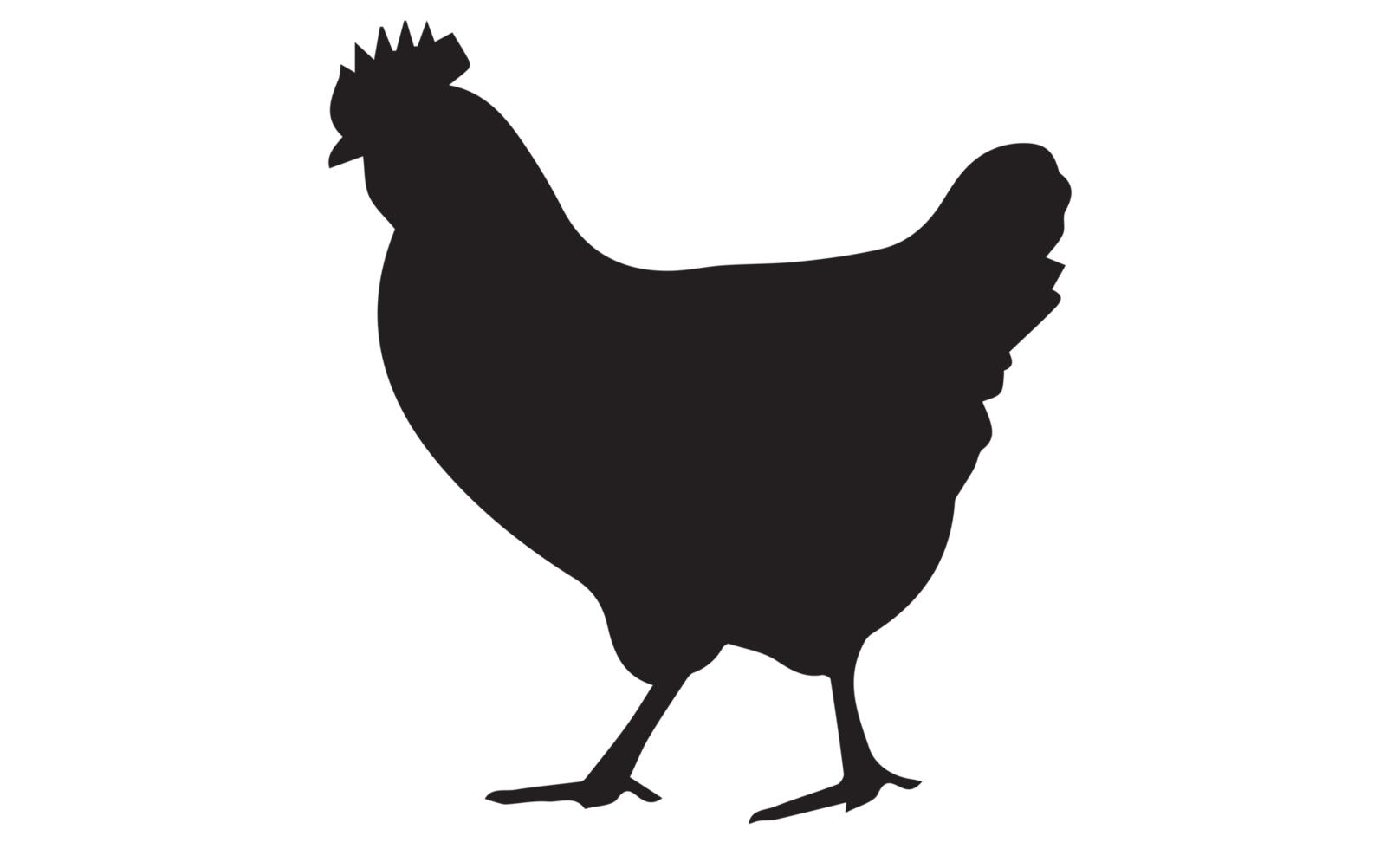 Local Chicken 
